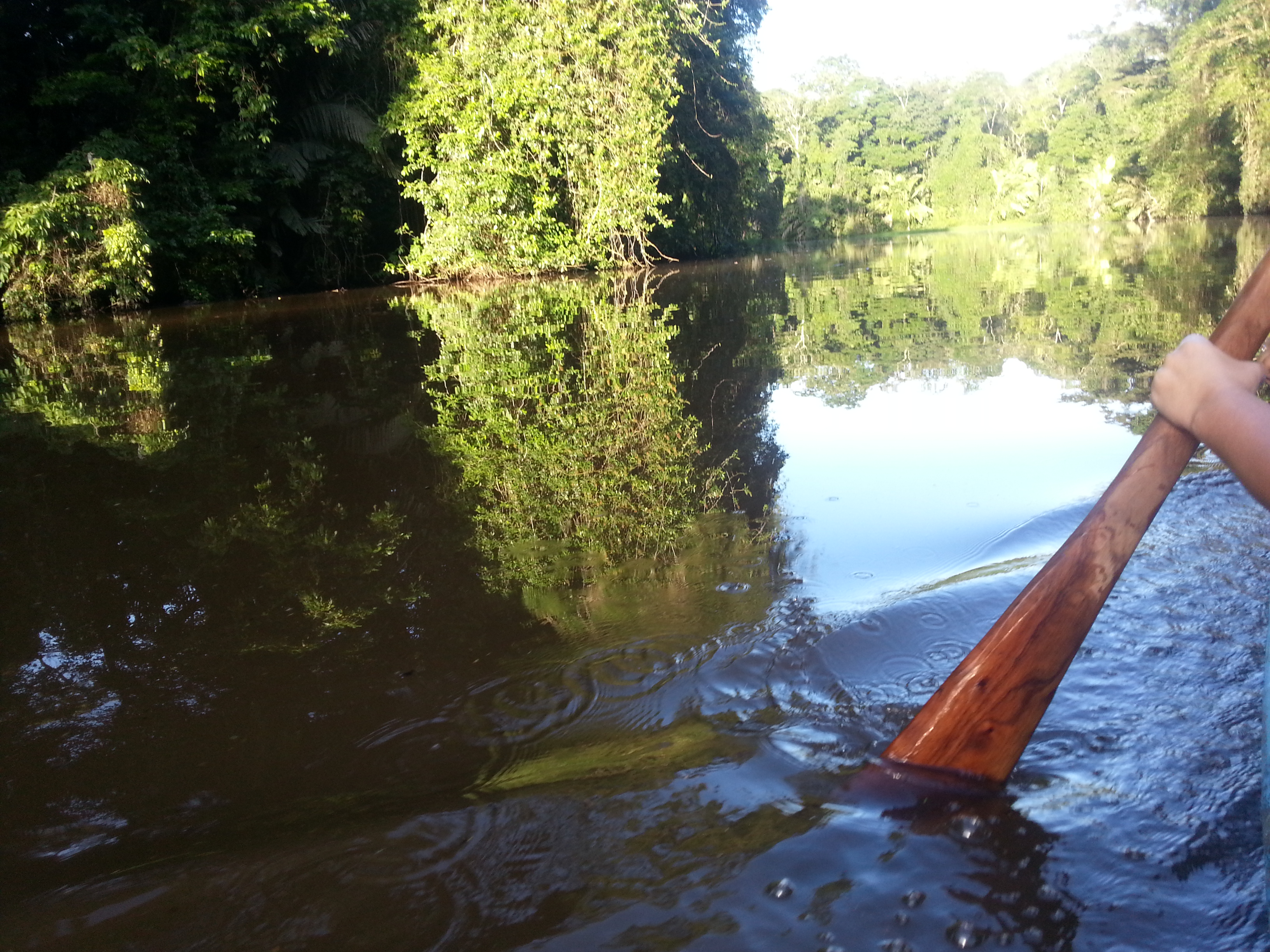 Excursión Canales de Tortuguero