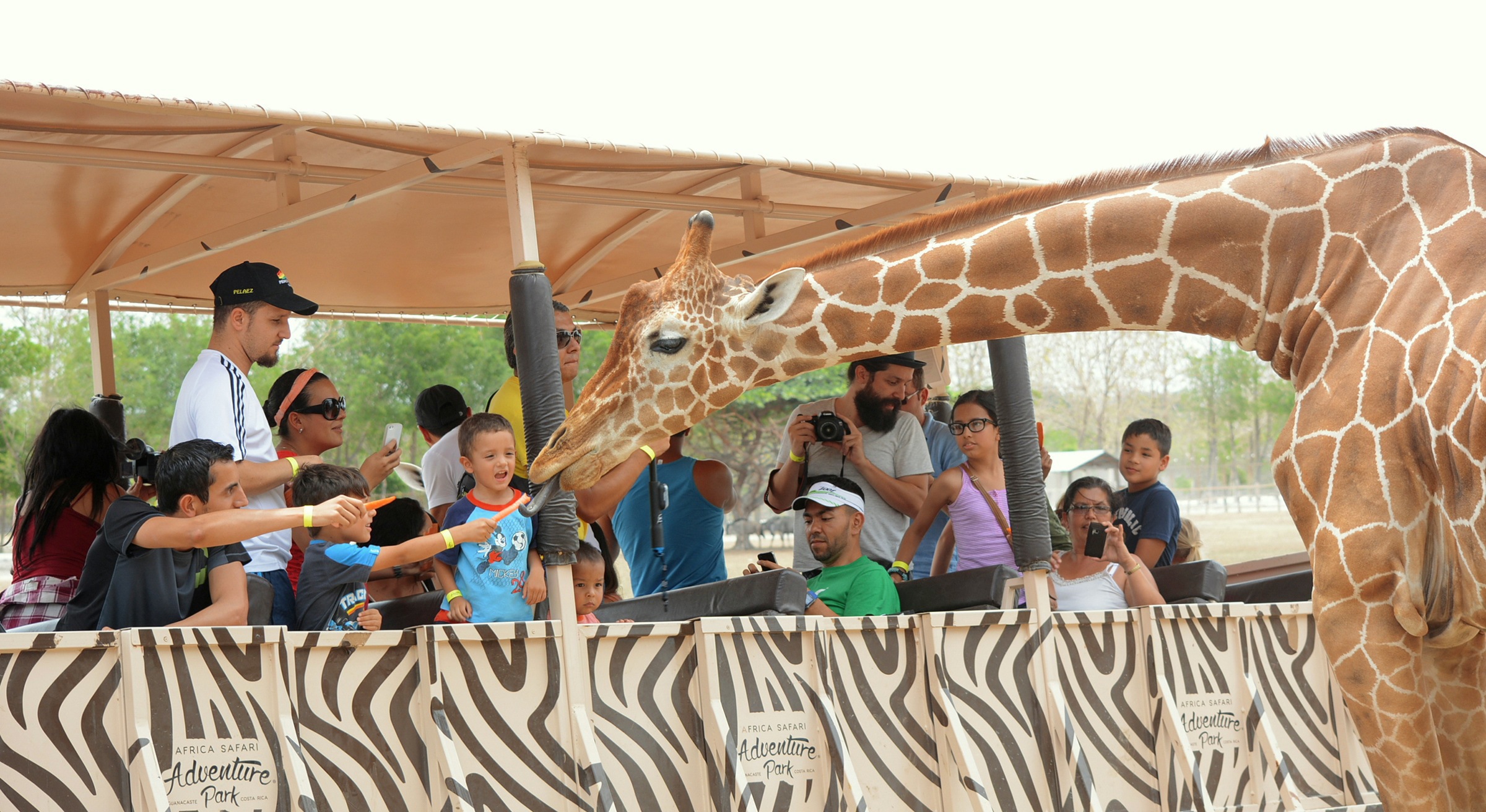 Excursión Ponderosa
Adventure Park (Safari) y Catarata Llanos de Cortéz (Guanacaste)