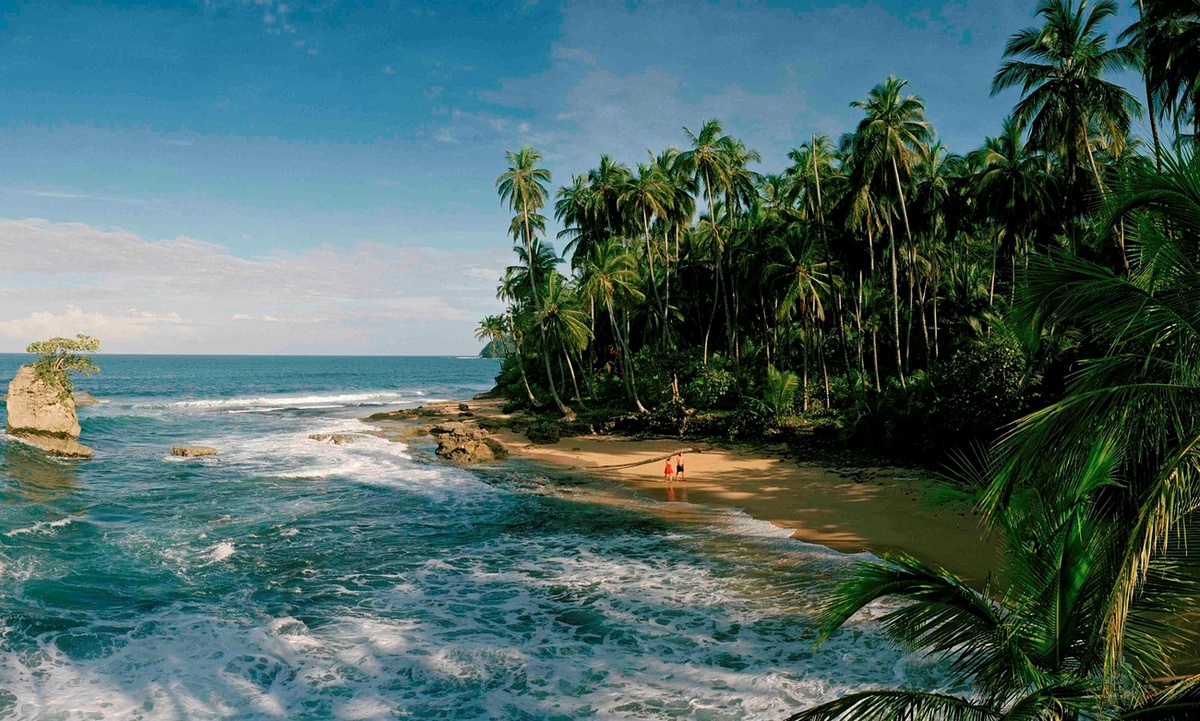 Excursión Playa Manzanillo (Gandoca) y Puerto Viejo. Caribe
