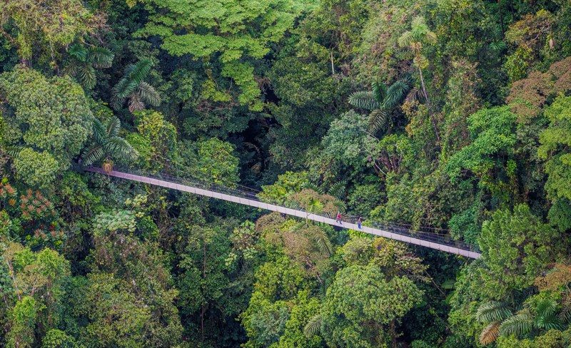 Excursión - Puentes colgantes Místico y tour por Parque Nal. Arenal y Lago Arenal