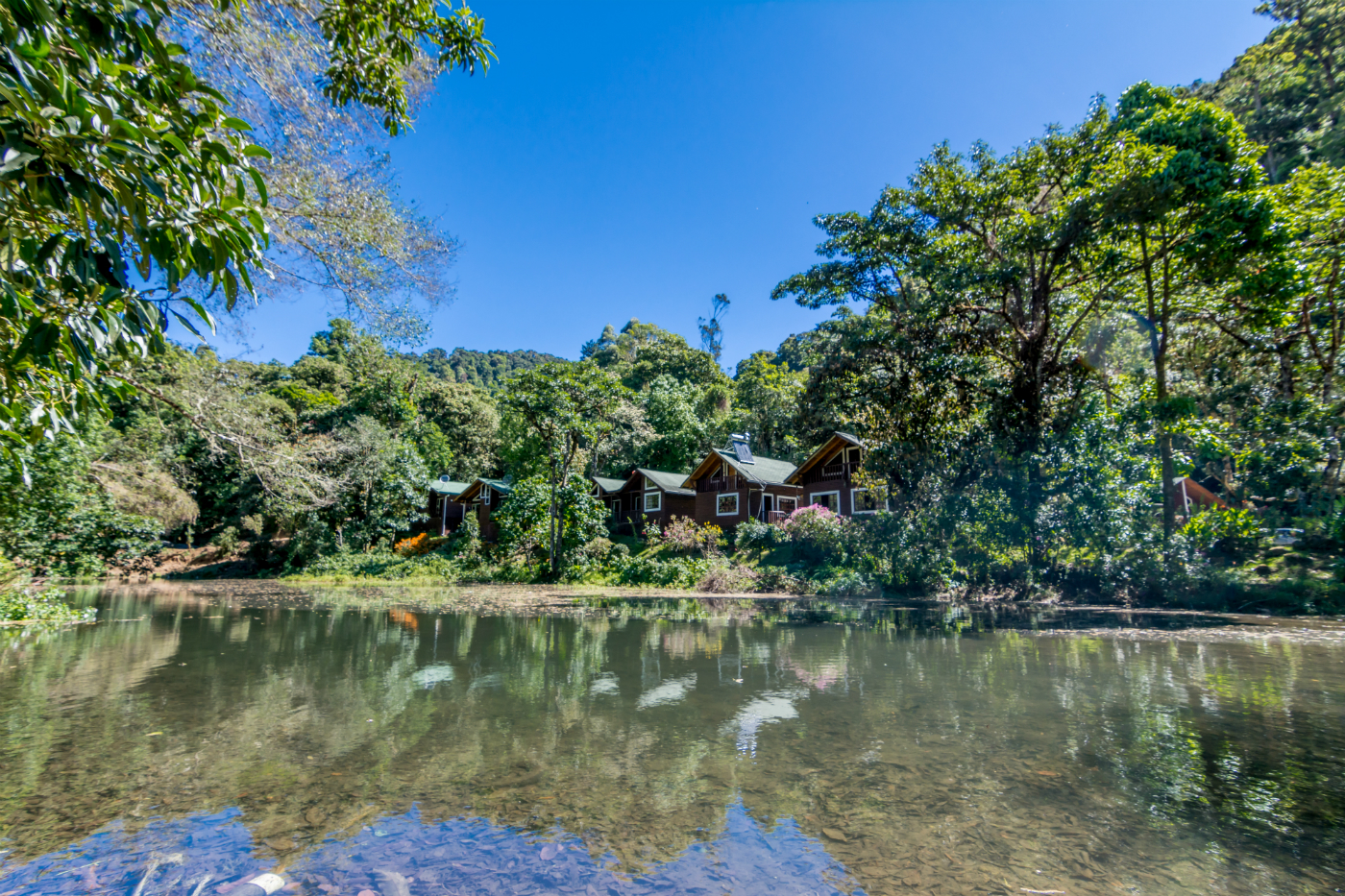 Excursión Sueños del Bosque (San Gerardo de Dota)