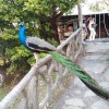 IMG_20160117_170053
