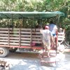 IMG_20160131_133421