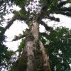 Rio Celeste - Febrero 21, 2016