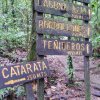 Rio Celeste - Febrero 21, 2016