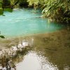Rio Celeste - Febrero 21, 2016